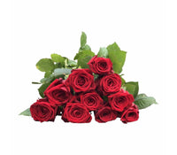 Rote Rosen  "RED NAOMI" 50 cm