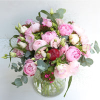Paeonia Summer Classic